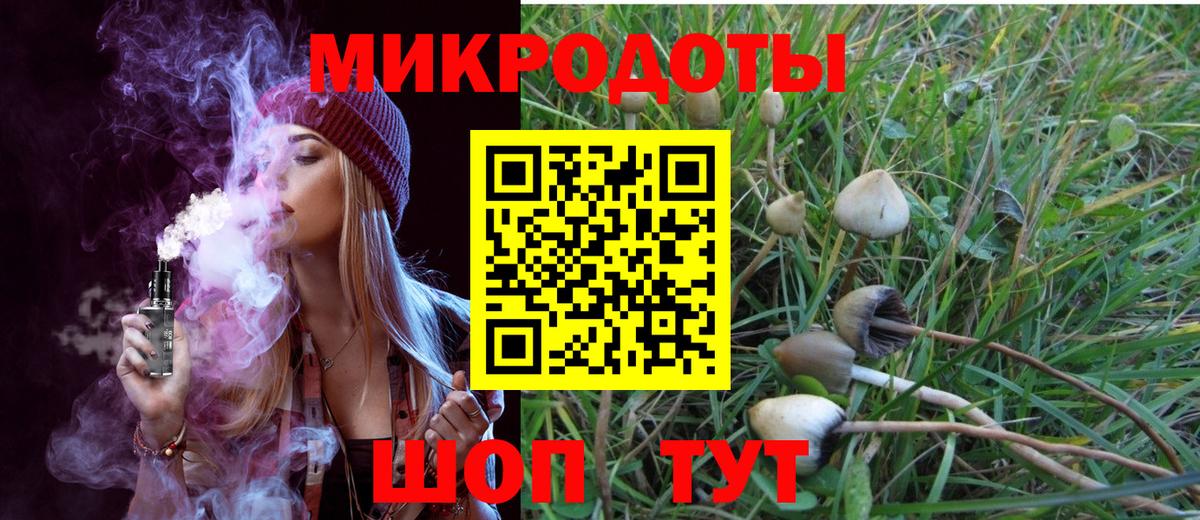 Галлюциногенные грибы Psilocybine cubensis Снежинск